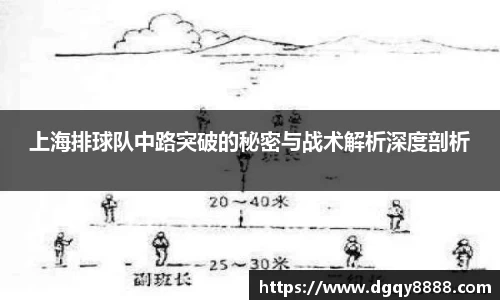 3377体育
