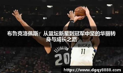 3377体育官网