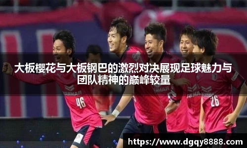 3377体育官网