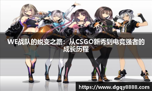 3377体育官网