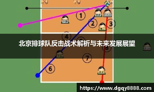 北京排球队反击战术解析与未来发展展望