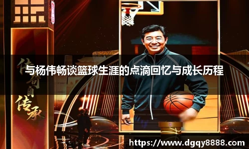 3377体育官网