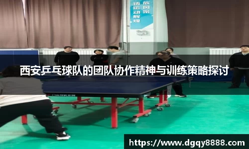 3377体育官网