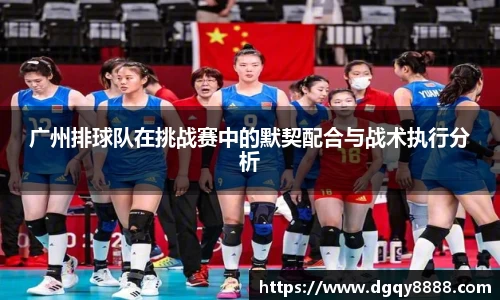 3377体育官网